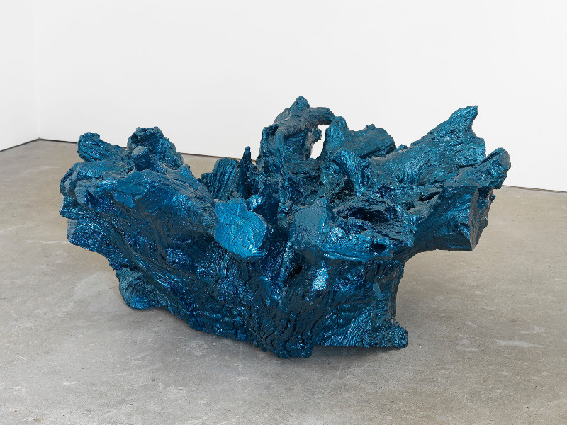 Ai Weiwei "Iron Root"